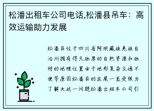 松潘出租车公司电话,松潘县吊车：高效运输助力发展
