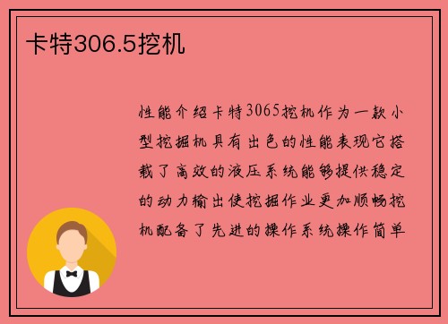 卡特306.5挖机